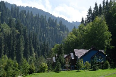 Almaty / Kazakistan - 09.02.2020: Ağaçlar ve yeşil çimenler arasında dağlık bir alanda çeşitli evler.