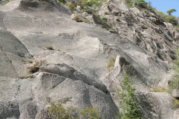 Cornicioni Pietra Rocce Zone Montuose Piccoli Arbusti Crescono Attraverso Roccia — Foto Stock