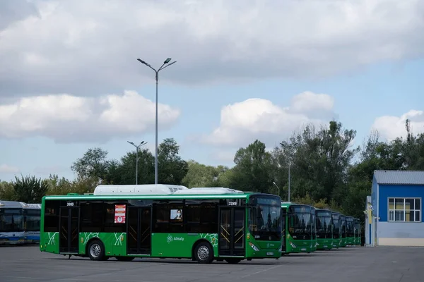 Almaty / Kazakistan - 09.18.2020: Filonun büyük bir otoparkında belediye otobüsleri birbirinin arkasında duruyor.