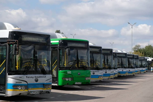Almaty / Kazakistan - 09.18.2020: Filonun büyük bir otoparkında belediye otobüsleri birbirinin arkasında duruyor.