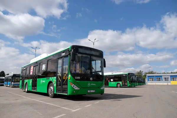 Almaty / Kazakistan - 09.18.2020: Filonun büyük bir otoparkında belediye otobüsleri birbirinin arkasında duruyor.