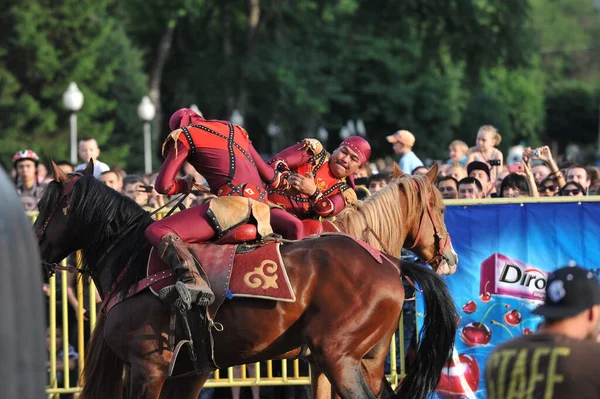 Cavalo pulando obstáculos no estilo pop art