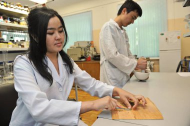 Almaty / Kazakistan - 05.07.2012: Bir tıp uzmanı laboratuvarda araştırma malzemelerini hazırlar.