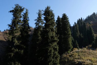 Almaty / Kazakistan - 09.25.2020: Teleferiğin yüksekliğinden farklı bitki örtüsüne sahip Medeo yolu ve dağların görüntüsü.