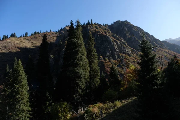 Almaty Kazakistan 2020 Teleferiğin Yüksekliğinden Farklı Bitki Örtüsüne Sahip Medeo — Stok fotoğraf