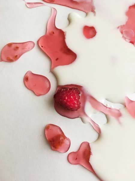 Atasözü Süt nehirleri jöle bankalar görsel bir şekillenme olarak beyaz bir arka plan üzerinde süt ile ahududu jöle yüzen derin doymuş ahududu rengi Olgun sulu ahududu