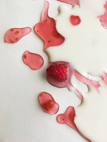 Atasözü Süt nehirleri jöle bankalar görsel bir şekillenme olarak beyaz bir arka plan üzerinde süt ile ahududu jöle yüzen derin doymuş ahududu rengi Olgun sulu ahududu