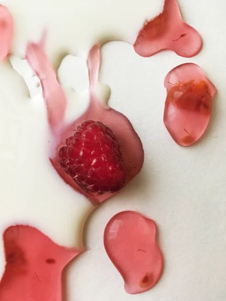 Atasözü Süt nehirleri jöle bankalar görsel bir şekillenme olarak beyaz bir arka plan üzerinde süt ile ahududu jöle yüzen derin doymuş ahududu rengi Olgun sulu ahududu