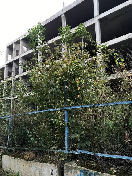 Çok katlı bir binanın terk edilmiş şehir binası, paslı delikli çit ve metal tel ile çitle çevrili ve otlar ile büyümüş
