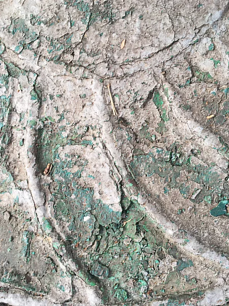 Katmanların orijinal dokusu ve metal bir yüzey üzerinde kırık beyaz, gri, yeşil, kahverengi boya bir parça