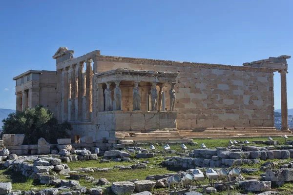 Erechthea 古代ギリシア建築 古代アテネの主要な寺院の一つの記念碑の寺 — ストック写真