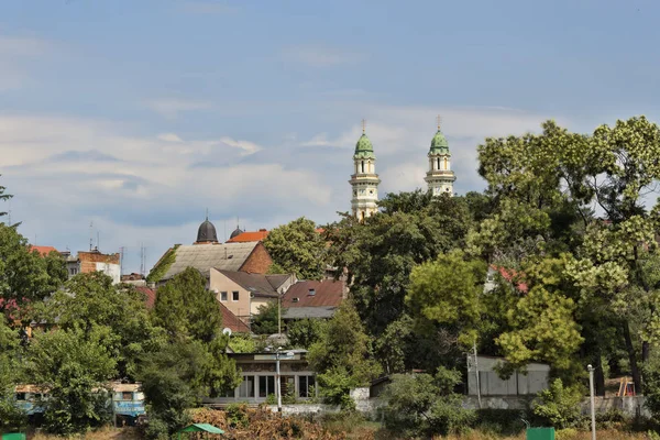 树和房子在 Uzhhorod 的老部分 在距离你能部份地看见大教堂 — 图库照片