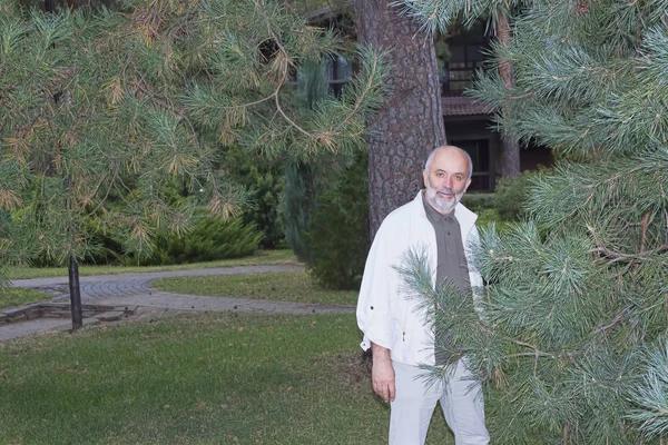 Мужчина Зрелого Возраста Парке Возле Сосновых Ветвей — стоковое фото
