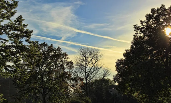 Alberi Nel Parco Sullo Sfondo Cielo Drammatico Inizio Autunno — Foto Stock