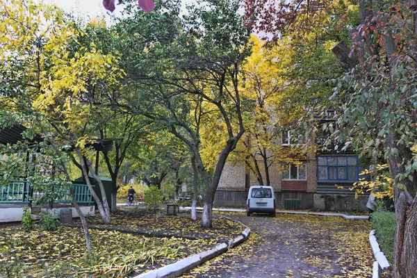 Autumn Courtyard Colorful Leaves Different Trees — Stock Photo, Image