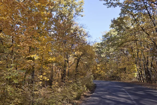 Autumn Landscape Deciduous Forest Road Sunny October Afternoon — Stock Photo, Image