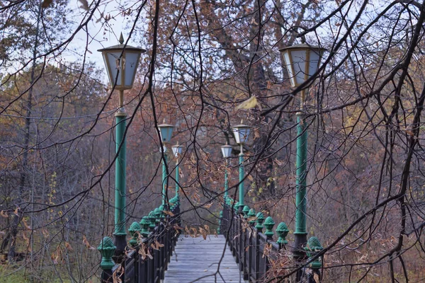 Petit Pont Avec Des Lanternes Dans Forêt Automne Octobre — Photo
