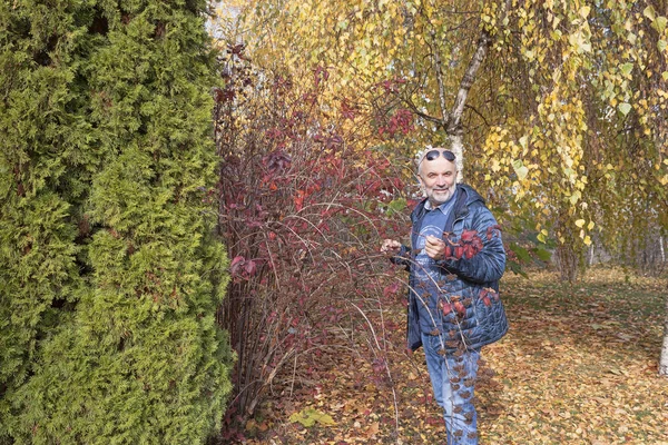 Mature Man Autumn Park Stands Bush Red Leaves Next Green — Stock Photo, Image