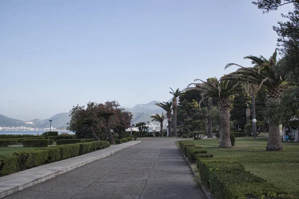 Öde Park nära ön Sveti Stefan — Stockfoto