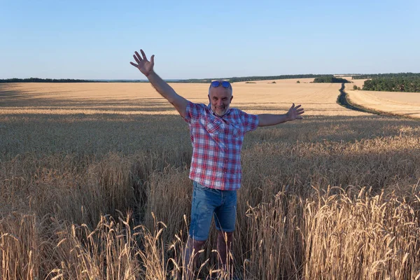 Mature Man Stands Wheat Field Spread His Arms Wide Smiles — Stock Photo, Image