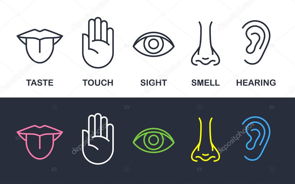 Human body senses line vector line icons