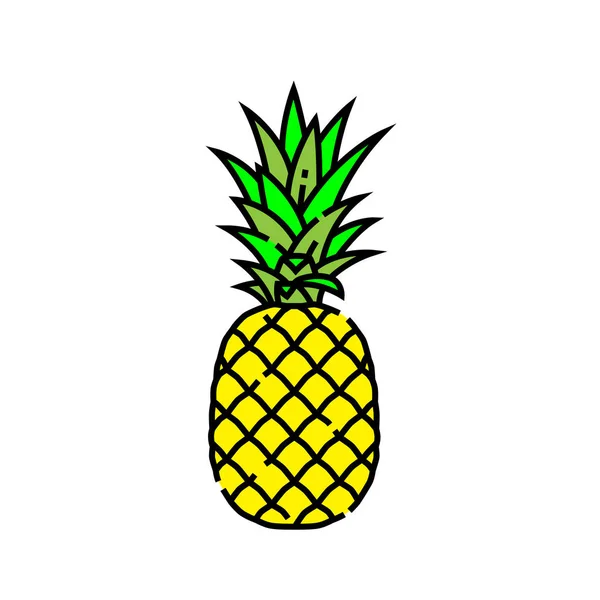 Ananas Linie Symbol Frisches Tropisches Sommerfruchtsymbol Vektorillustration Stockillustration