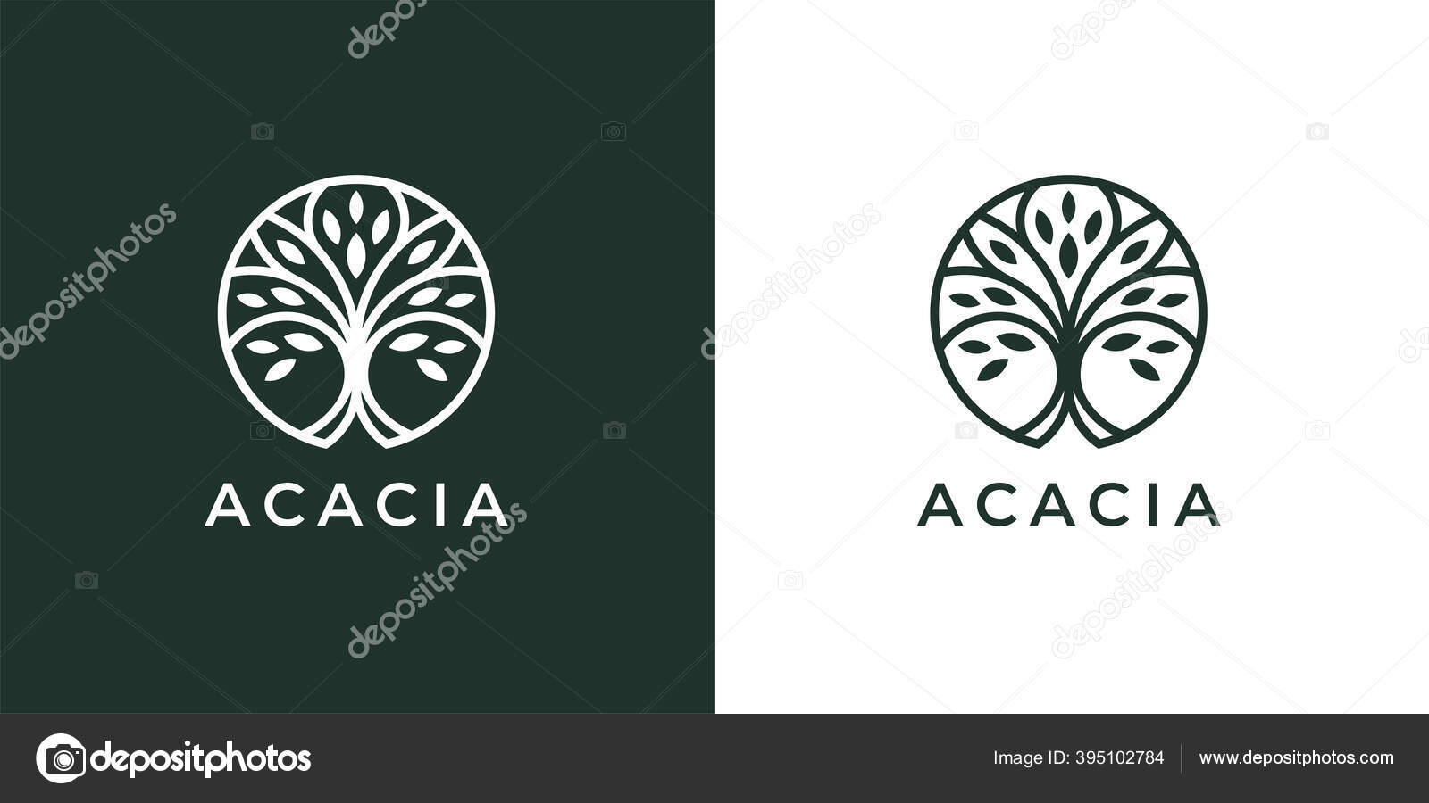 Aloe vera logotipo planta verde projeto de saúde ilustração vetorial  símbolo