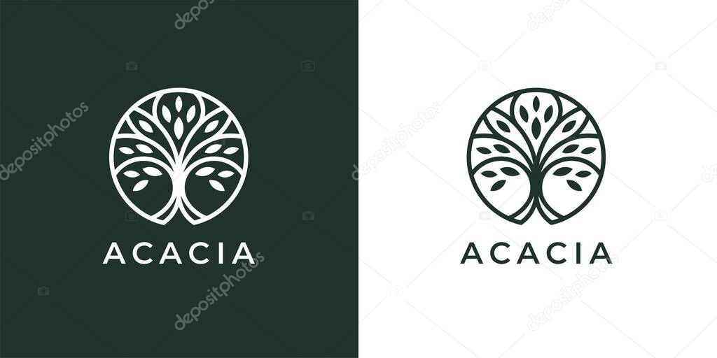 Circle tree logo icon template design. Abstract round garden plant natural line symbol. Green branch with leaves business sign. Vector illustration.