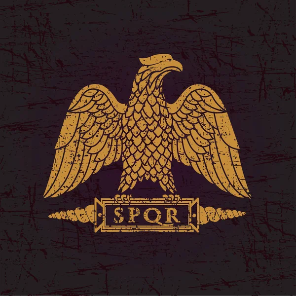 Logo Des Römischen Adlers Auf Einer Alten Schäbigen Textur — Stockvektor