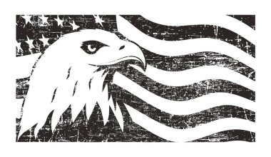 Grunge arka plan ABD ile Kuzey Amerika'nın kel kartal sembolü
