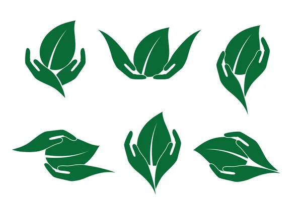 Руки Держат Зеленый Лист Набор Иконок Концепцию Экологического Продукта — стоковый вектор