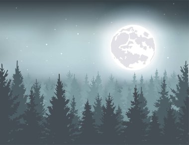 winter night forest landscape vector illustration