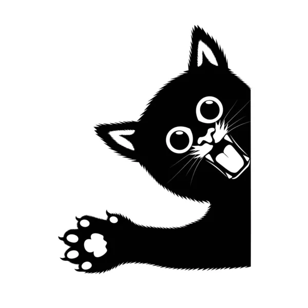 การวาดภาพเวกเตอร กแมวโกรธ — ภาพเวกเตอร์สต็อก