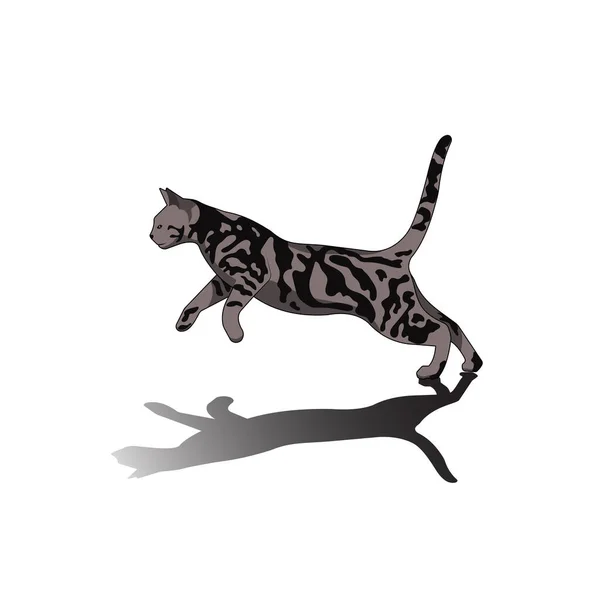 Silhouette Dog Kitten Illustration — Stock Vector