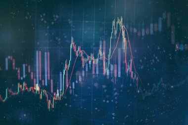 Toplantıdaki iş planı ve şirketin performansını görmek için finansal rakamları analiz etmek..