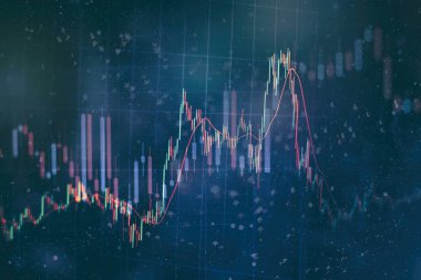 Toplantıdaki iş planı ve şirketin performansını görmek için finansal rakamları analiz etmek..