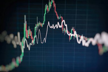 Toplantıdaki iş planı ve şirketin performansını görmek için finansal rakamları analiz etmek..