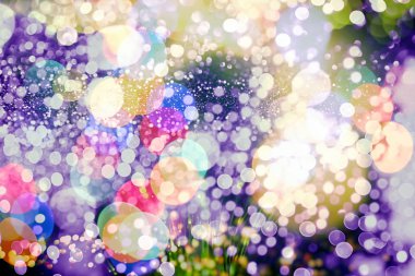 Noel ışığı arka planı. Parlak tatil arkaplanı. Yanıp sönen Yıldızlarla Odaklanmış Arkaplan. Bulanık Bokeh.