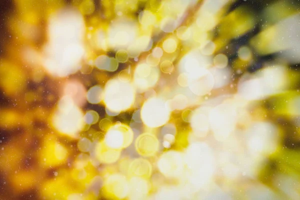 Fondo de celebración de luz abstracta con luces doradas desenfocadas para Navidad, Año Nuevo, vacaciones, fiesta —  Fotos de Stock