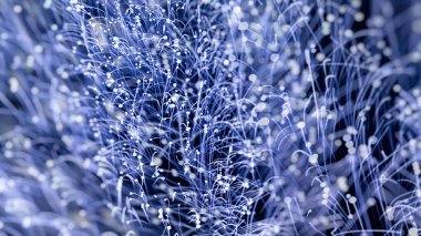 Basit rastgele bulanık dairelere sahip soyut dijital arkaplan grafiği spesifik desen tasarımı, uzayda büyüyen güzel neon ışığı ayrıntıları