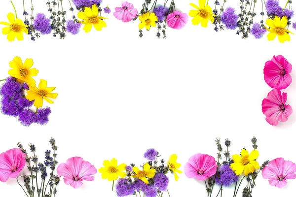 Квіткова Композиція Жовті Фіолетові Квіти Білому Тлі Весна Великодня Концепція — стокове фото