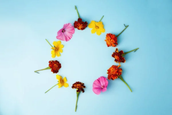 Квіткова Композиція Жовті Фіолетові Квіти Синьому Фоні Весна Великодня Концепція — стокове фото