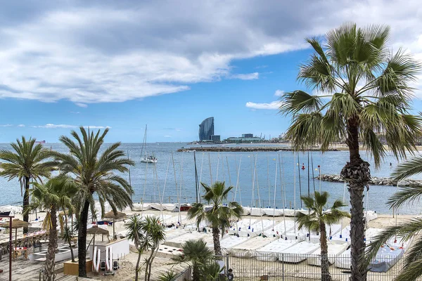 Beach Barcelona Palm Trees Yachts — Stock Photo, Image