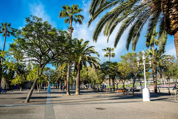 Embankment Palm Trees Yachts Barcelona España — Foto de Stock