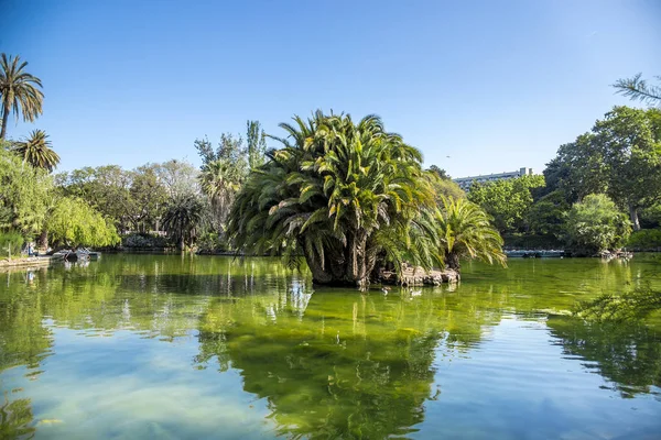 西班牙巴塞罗那的热带花园 湖泊和棕榈树 — 图库照片