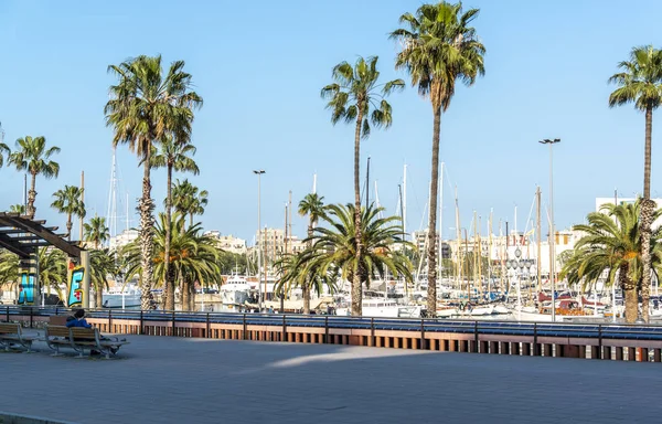 Töltés Pálmafákkal Jachtok Barcelona Spanyolország 2018 Május — Stock Fotó