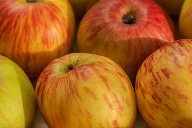 Olgun köyü elma ile muhteşem arka plan.