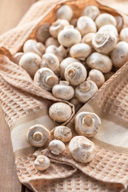  Tahta masada taze şampiyonlar.