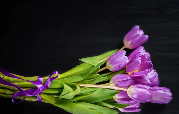 黑色背景上的紫色郁金香. — 图库照片