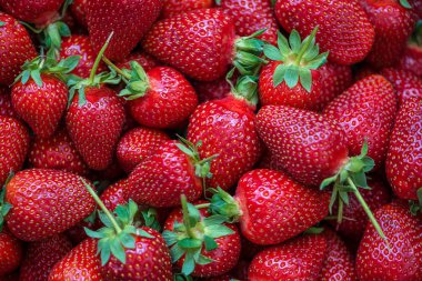 Taze toplanmış çileklerin arka planı, tam üstte.